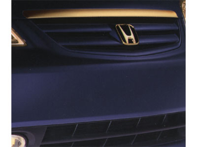 2003 Honda Civic Gold Grille Molding 08F21-S5D-100F