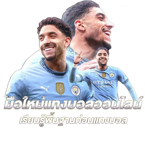 มือใหม่แทงบอลออนไลน์